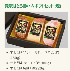 【産地取り寄せ商品】ハムギフトセット 「煌」 愛媛 甘とろ豚 (株)ビージョイ（送料別）(n)