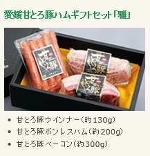 【産地取り寄せ商品】ハムギフトセット 「雅」 愛媛 甘とろ豚 (株)ビージョイ（送料別）(n)