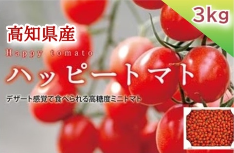 【産地取り寄せ商品】ハッピートマト 3kg 高糖度トマト 高知県産 (ユニオン) | 高知 安芸 とまと トマト ミニトマト プチトマト 野菜 フルーツ 贈答 ギフト（送料別）(n)