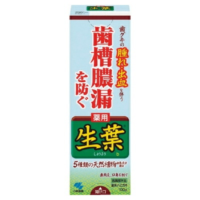 (4個売り）小林製薬 生葉 100g（送料別）(n)