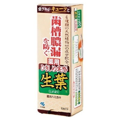 (4個売り）小林製薬 ひきしめ生葉 100g（送料別）(n)