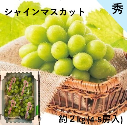 【限定クーポン対象商品】◆【産地取り寄せ商品】【期間限定販売】シャインマスカット 秀 約2kg (4-5房入)JA福山市(送料別)