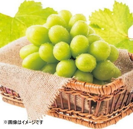 ◆【8月23日より順次発送】【産地取り寄せ商品】【期間限定販売】シャインマスカット 秀 約２kg (4-5房入)JA福山市（送料別）