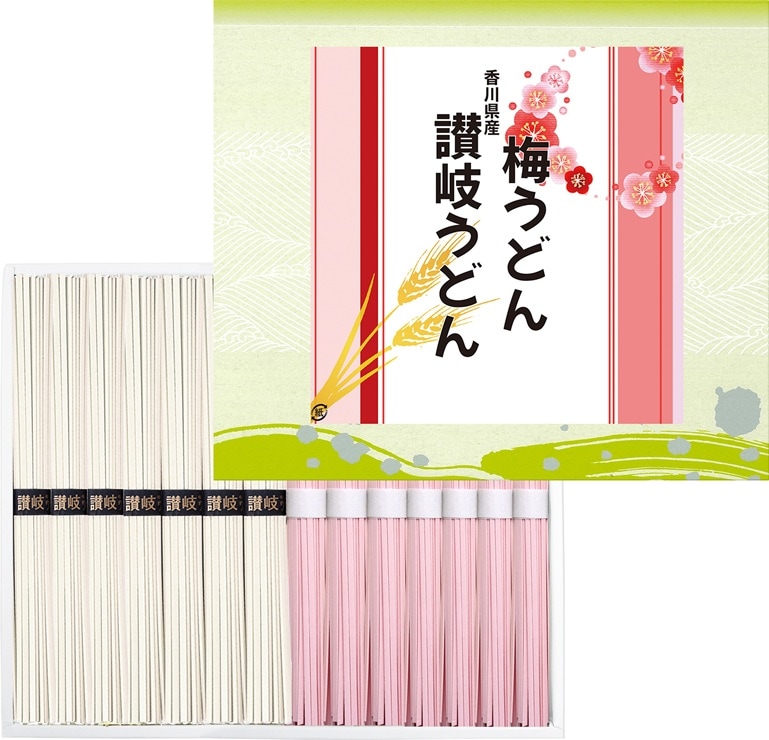 ◆【産地取り寄せ商品】讃岐うどん・梅うどん DCF-15 (三盛物産)（送料別）(n)