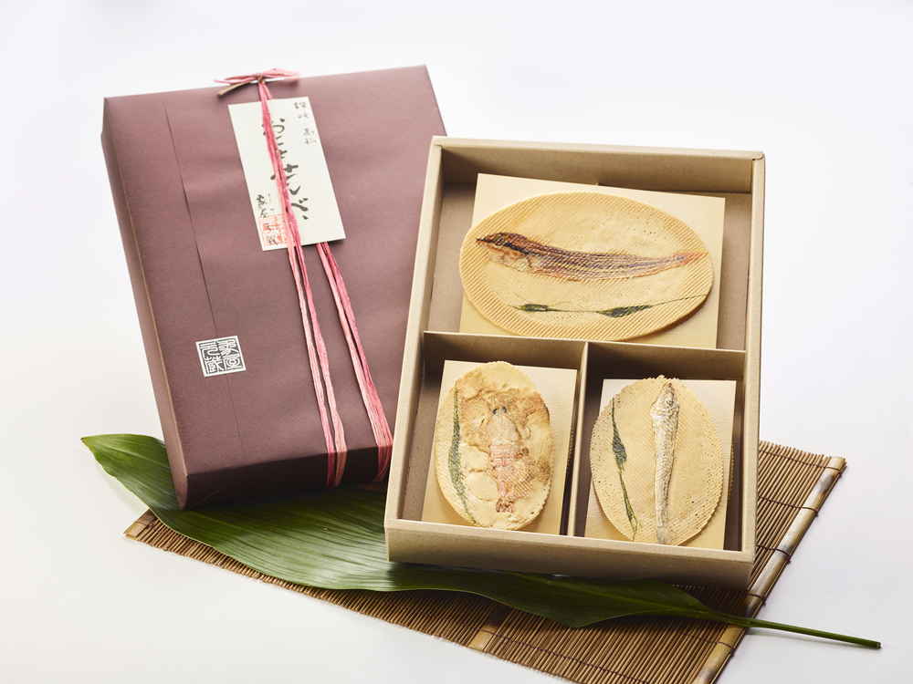 【産地取り寄せ商品】おととせんべい10枚入り(象屋元蔵 )(送料別)