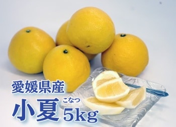 【産地取り寄せ商品】高知県産 小夏 5kg （送料別）(n)