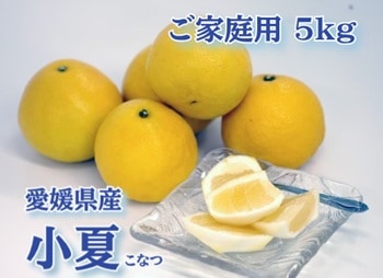 【産地取り寄せ商品】小夏 5kg（家庭用）高知県産 (有限会社 ユニオン)（送料別）(n)