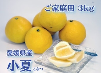 【産地取り寄せ商品】【ご家庭用】高知県産 小夏 3kg（送料別）(n)