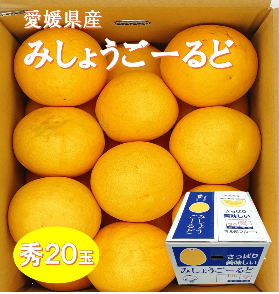 【産地取り寄せ商品】【予約販売】※4月2日より順次発送　愛媛県産 みしょうごーるど 秀２０玉 |  オレンジ 愛媛県産 愛媛（送料別）