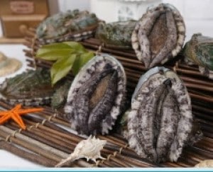 【産地取り寄せ商品】冷凍 アワビ (韓国産)(三宝水産株式会社)(送料別)あわび 鮑 awabi(n)