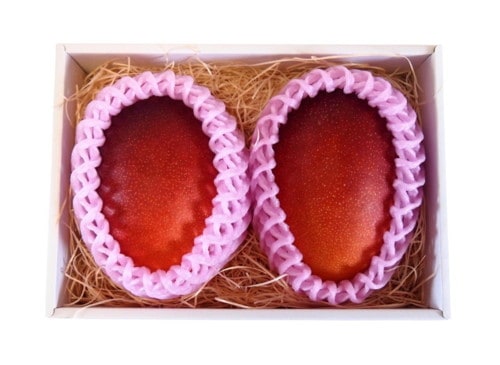 【産地取り寄せ商品】高知県 土佐のマンゴー 2Lサイズ×2個 贈答用セット(ユニオン)（送料別）(n)