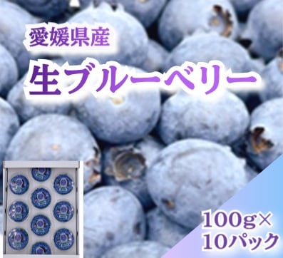 【産地取り寄せ商品】【期間限定販売】愛媛県産 ブルーベリー 100ｇ×10パック | ブルーベリー ぶどう 愛媛(n)