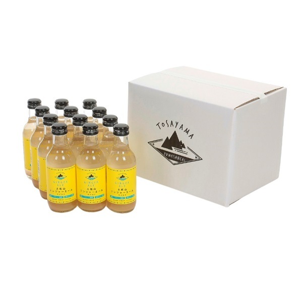 【産地取り寄せ商品】土佐山ジンジャーエール マイルド 12本 セット(夢産地とさやま)(n)