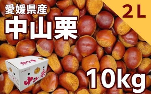 ◆【産地取り寄せ商品】【期間限定販売】愛媛県産 栗 2Lサイズ 10kg| 中山栗・栗ご飯・蒸し栗・マロン(期日指定できません)(n)
