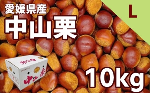 ◆【産地取り寄せ商品】【期間限定販売】愛媛県産 栗 Lサイズ 10kg| 中山栗・栗ご飯・蒸し栗・マロン(期日指定できません)(n)