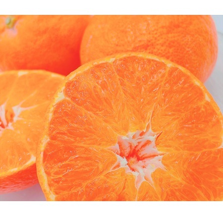 【予約販売】【期間限定販売】※1月20日より順次発送　愛媛県中島産 甘平 秀（贈答用） 3L-Lサイズ 3ｋｇ（フジアグリフ－ズ）（送料別）(n)