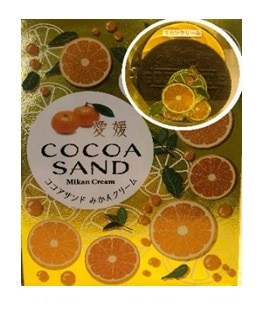 ココアサンドみかんクリーム 6枚入(名所堂)|4989596028062(送料別)(n)