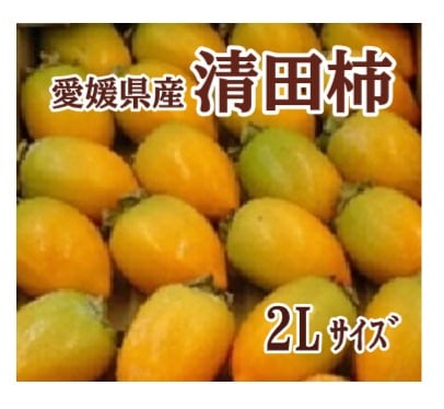 ◆【産地取り寄せ商品】【予約販売】※9月24日より順次発送開始 愛媛県産 清田柿 2Lサイズ (フジアグリフーズ)(n)