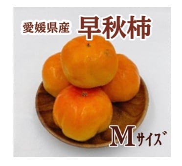 ◆【産地取り寄せ商品】※9月24日より順次発送開始 愛媛県産 早秋柿 Mサイズ (フジアグリフーズ)(n)