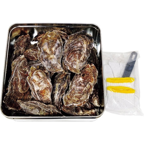 【産地取り寄せ商品】広島産かきのカンカン焼き 冷凍殻付かき1.6kg (約12個から20個入り)(広島県漁業協同組合連合会)（送料別）(n)