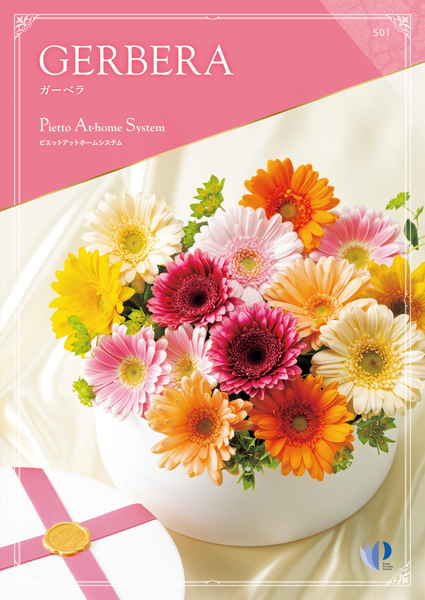 チョイスカタログギフト ガーベラ Gerbera（送料別）