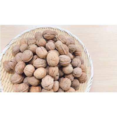 【予約販売】【12月1日より順次発送】【産地取り寄せ商品】愛媛県産 殻付きくるみ 約1kg(送料別)