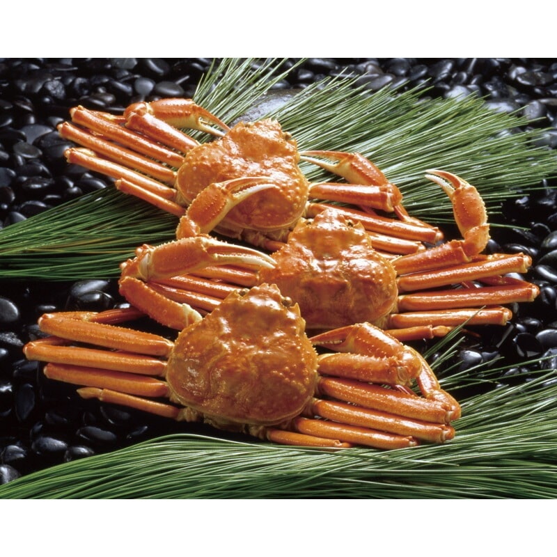 ボイルずわいがに姿 450g×3尾 ZHB453N