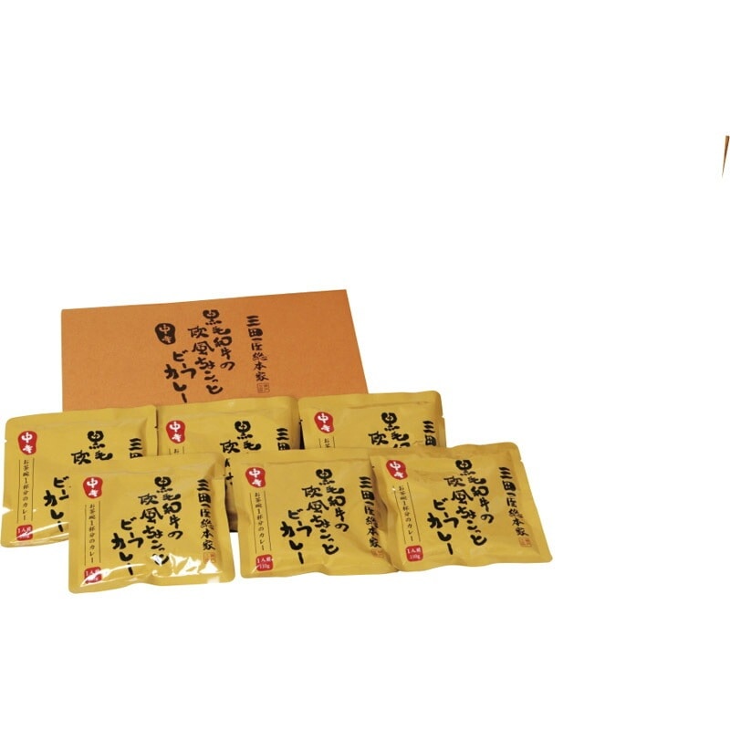 三田屋総本家 黒毛和牛の欧風ちょこっとビーフカレー110g×6食(送料別)