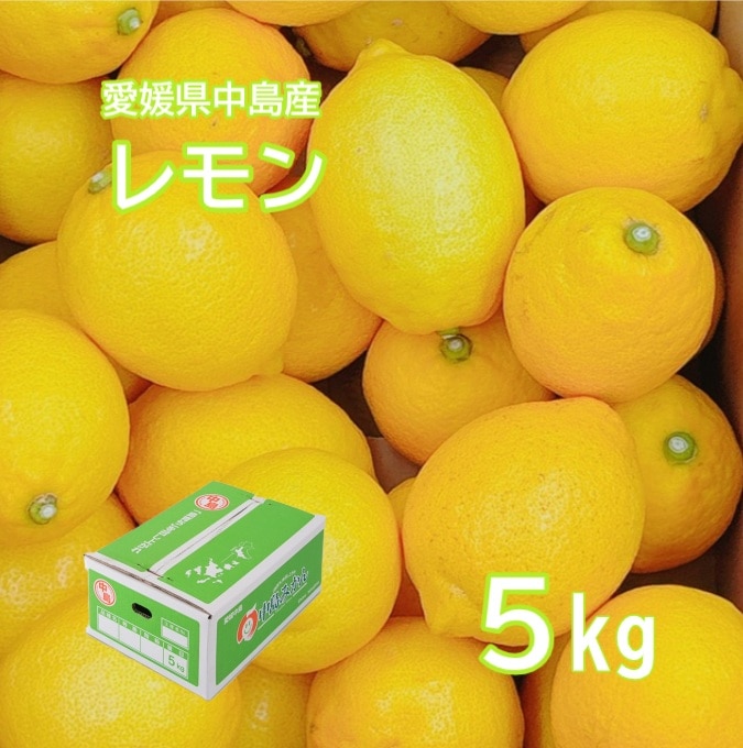 ◆【予約販売】11月上旬より順次発送開始　愛媛県中島産 レモン 2L-M サイズ 5ｋｇ (フジアグリフ－ズ) （送料別）