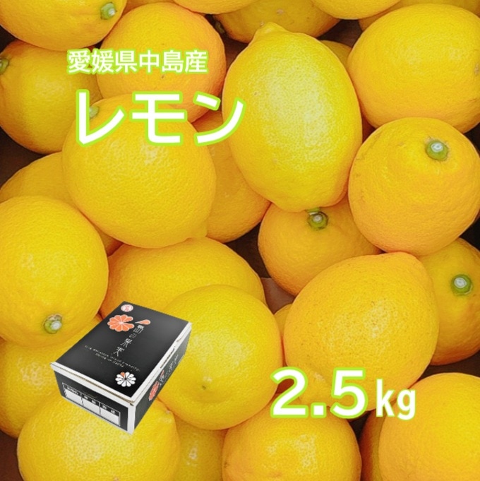 ◆【予約販売】11月上旬より順次発送開始　愛媛県中島産 レモン 2L-Mサイズ 2.5ｋｇ (フジアグリフ－ズ) （送料別）