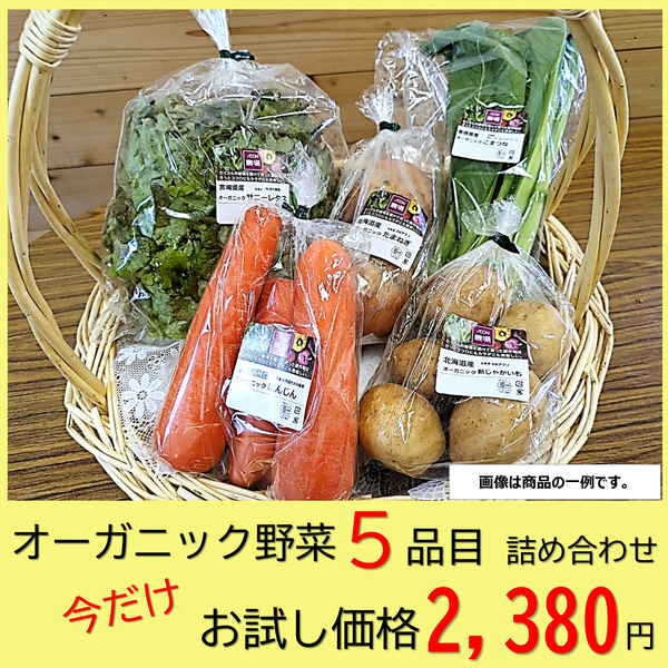 【中四国地方 兵庫県 送料無料】　オーガニック野菜詰め合わせセットA（野菜5品目）