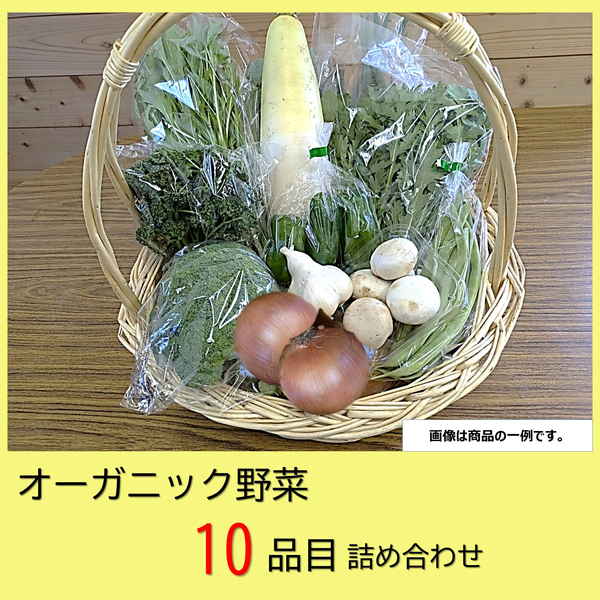 【中四国地方 兵庫県 送料無料】  オーガニック野菜詰め合わせセットC（野菜10品目）