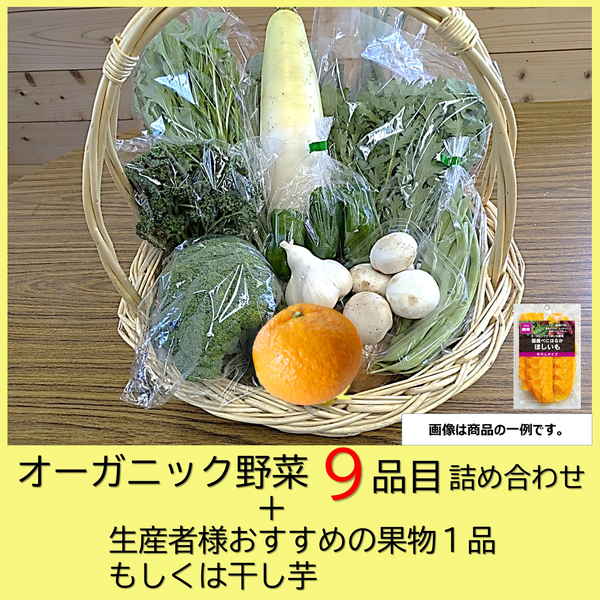 【中四国地方 兵庫県 送料無料】　オーガニック野菜詰め合わせセットD（野菜9品目＋果物or干し芋）