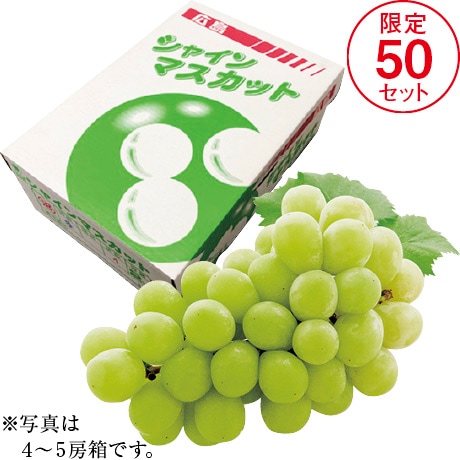 【店頭決済】広島県産（JA福山市） シャインマスカット 1.9㎏以上　4～5房