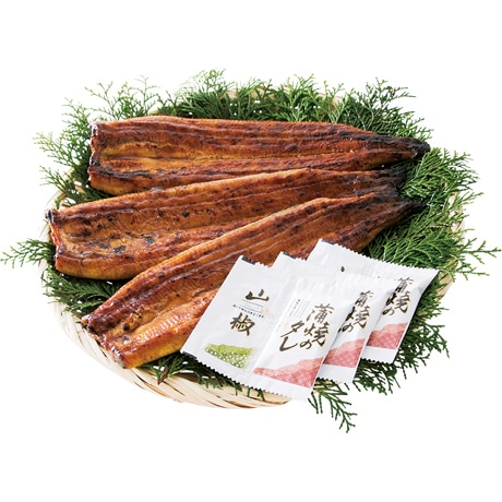 【店頭決済】鹿児島県産 うなぎ蒲焼（じっくり焼き）3尾 蒲3