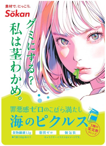 壮関 海のピクルス 32g まとめ買い(×6)|4941983028161(tc)(082742)