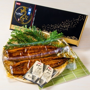 【産地取り寄せ商品】【土用】薩摩川内鰻　鹿児島無頭蒲焼き2尾セット (株)薩摩川内鰻（送料別）