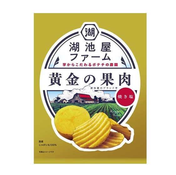 湖池屋 湖池屋ファーム黄金の果肉焼き塩 55g まとめ買い(×12)|4514410174948(tc)(415138)