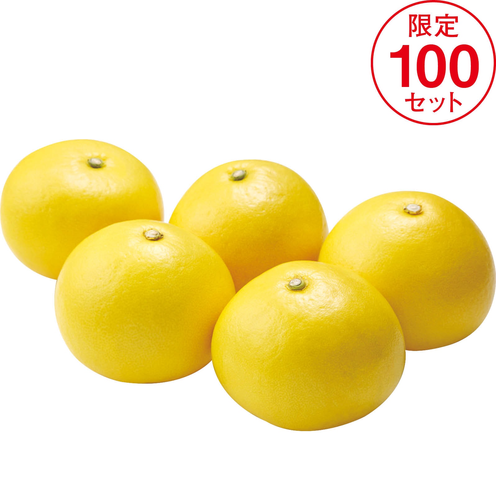 【店頭決済】高知県産 ハウス文旦 3kg　5-6玉