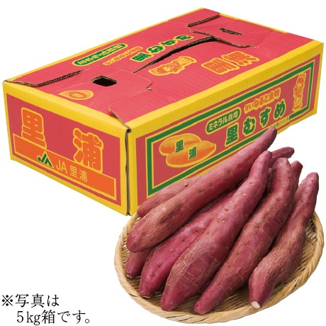 【店頭決済】徳島県産(JA里浦) なると金時(里むすめ) 3kg