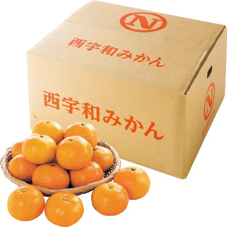 【店頭決済】愛媛県産（JAにしうわ真穴共選） 真穴みかん M～L・10kg