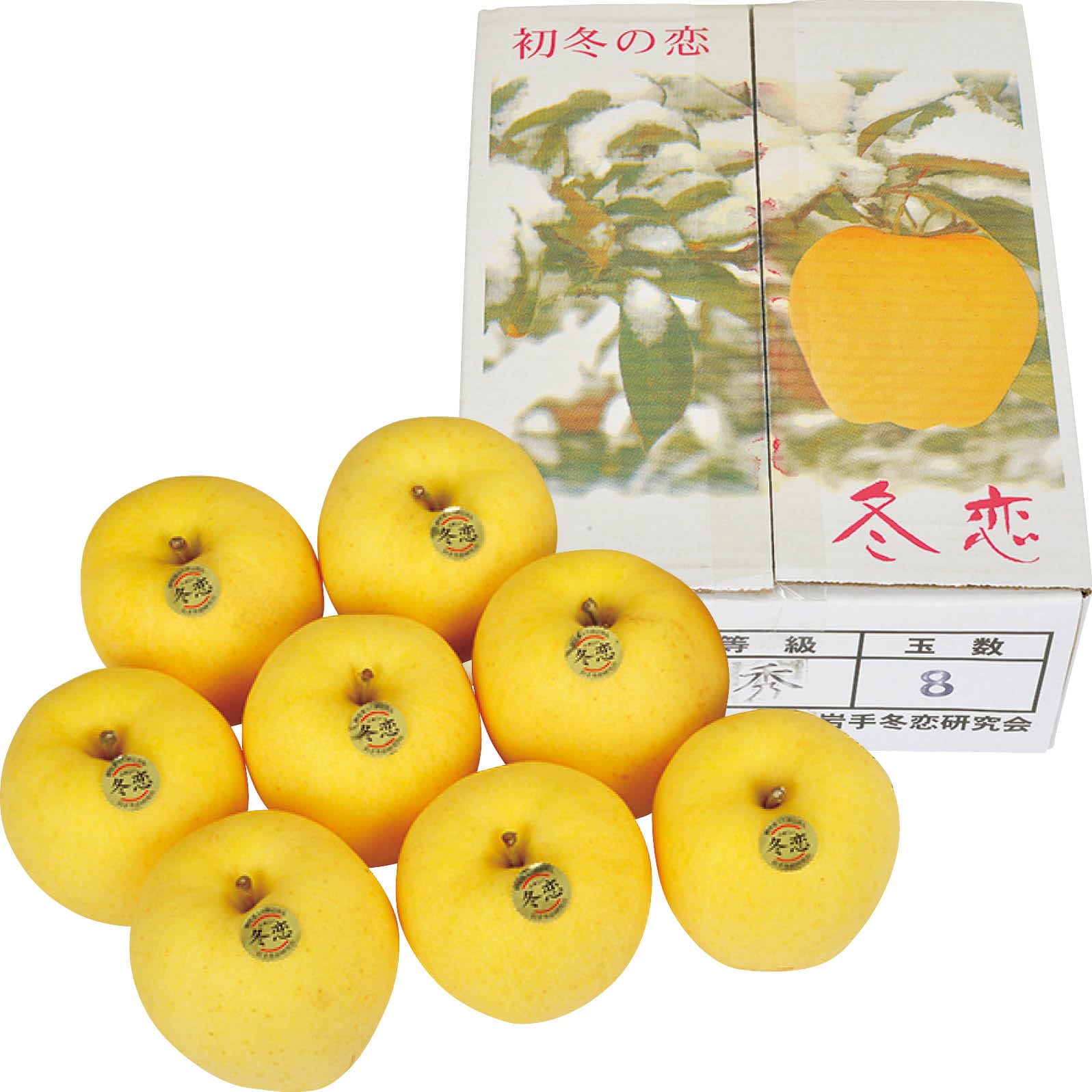 【店頭決済】岩手県産(JA全農いわて) 冬恋 秀 2.5kg