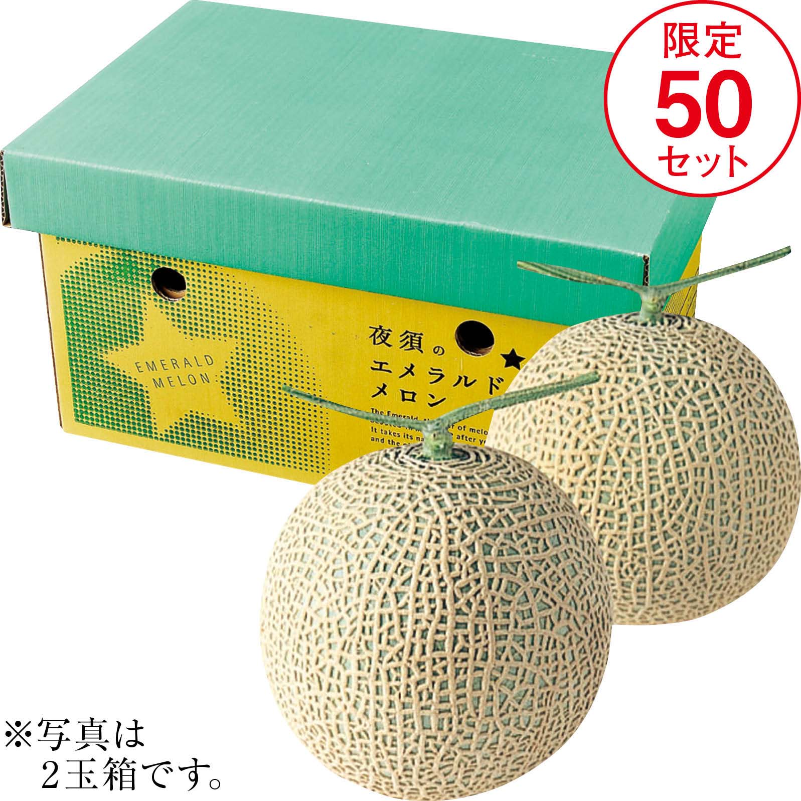 【ネット決済】高知県産 エメラルドメロン 2玉