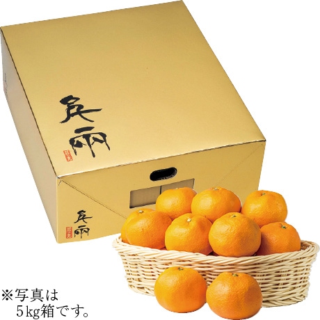 【ネット決済】愛媛県産（JAにしうわ日の丸共選） 日の丸ゴールドみかん M・5kg