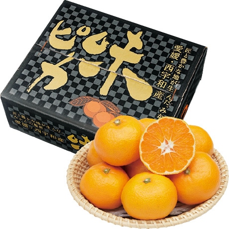 【ネット決済】愛媛県産(JAにしうわ川上共選) 味ピカみかん M・5kg