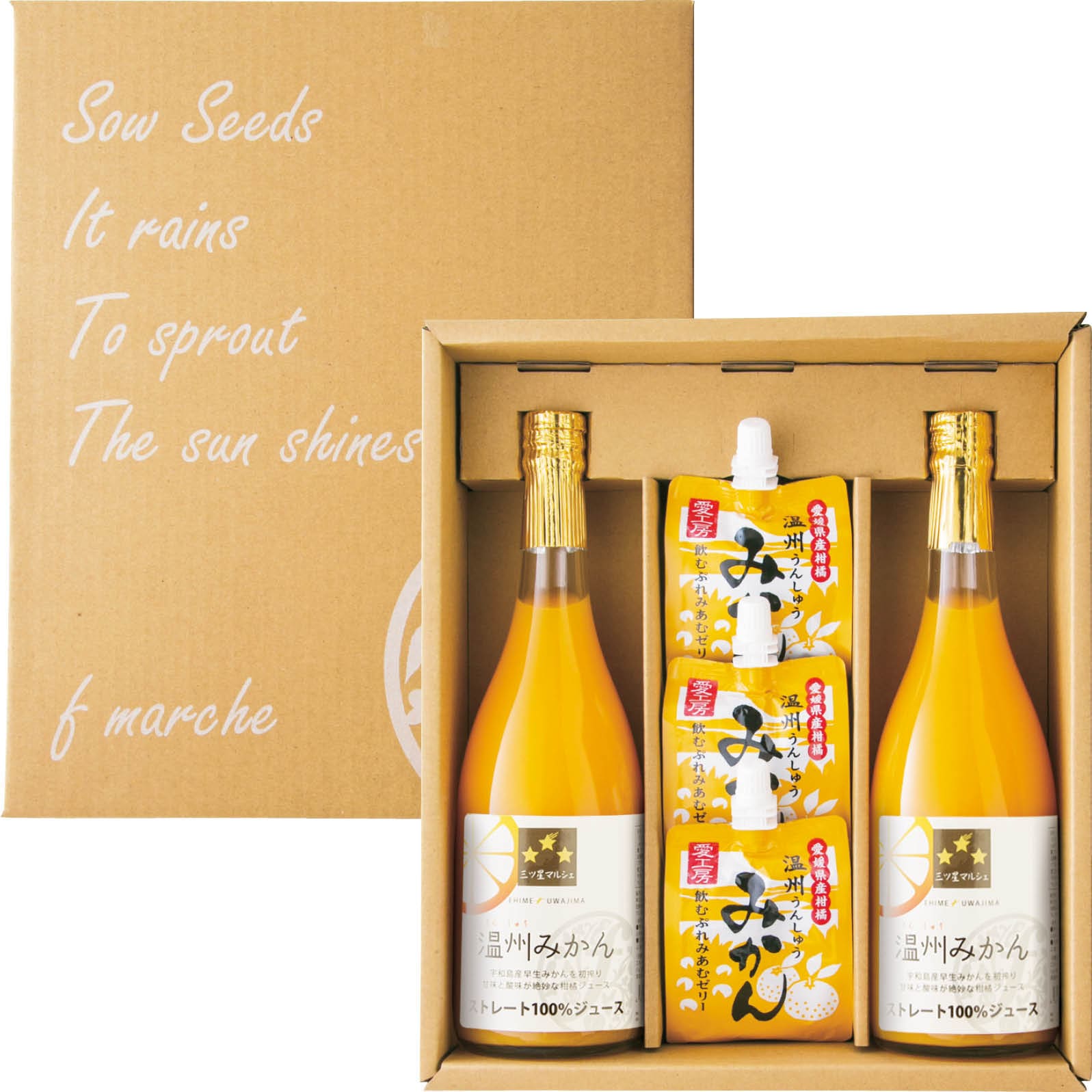 【ネット決済】愛媛県産(エフ・マルシェ) 三ツ星マルシェ 温州みかんジュースセット
