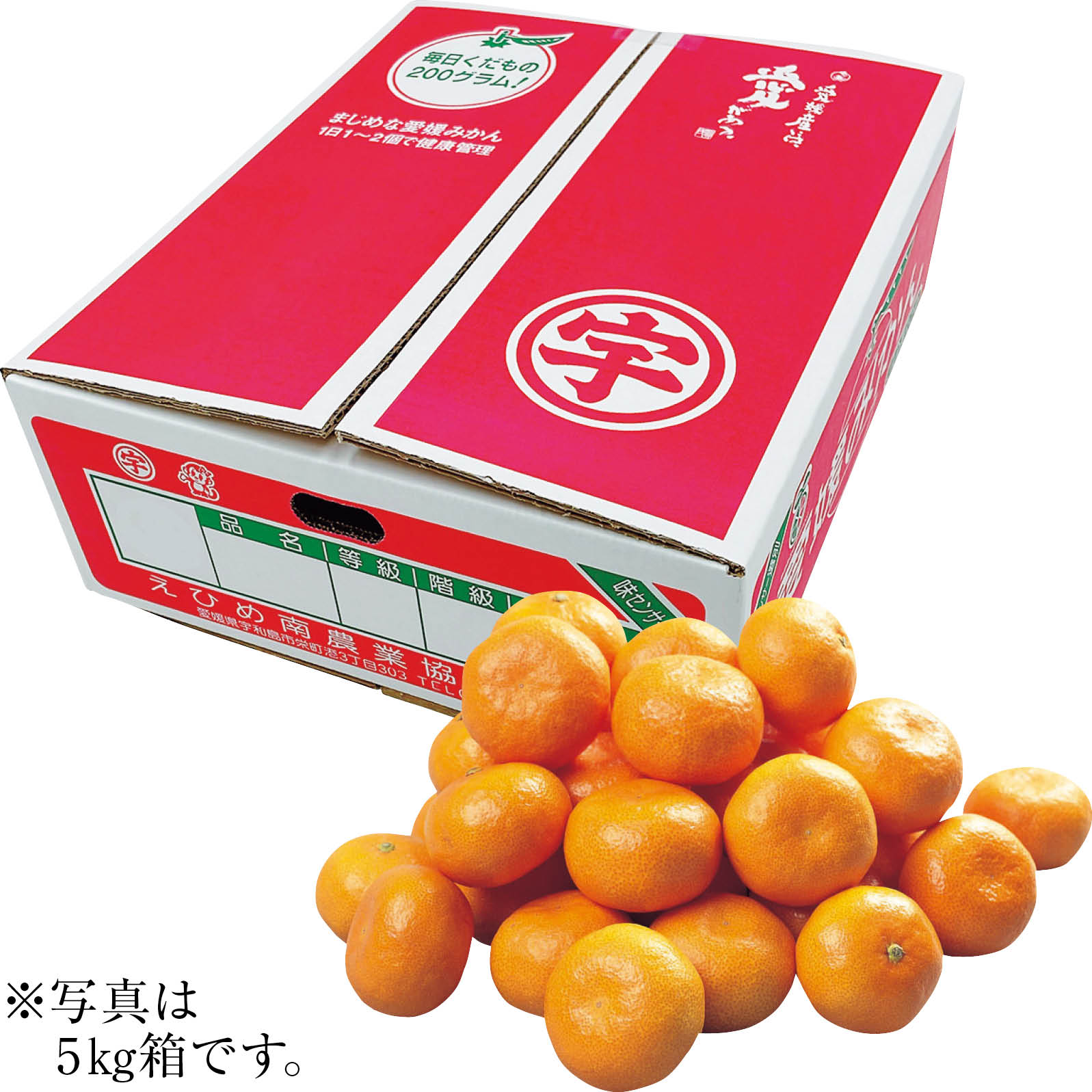 【ネット決済】愛媛県産(JAえひめ南玉津共選) 玉津みかん M・5kg