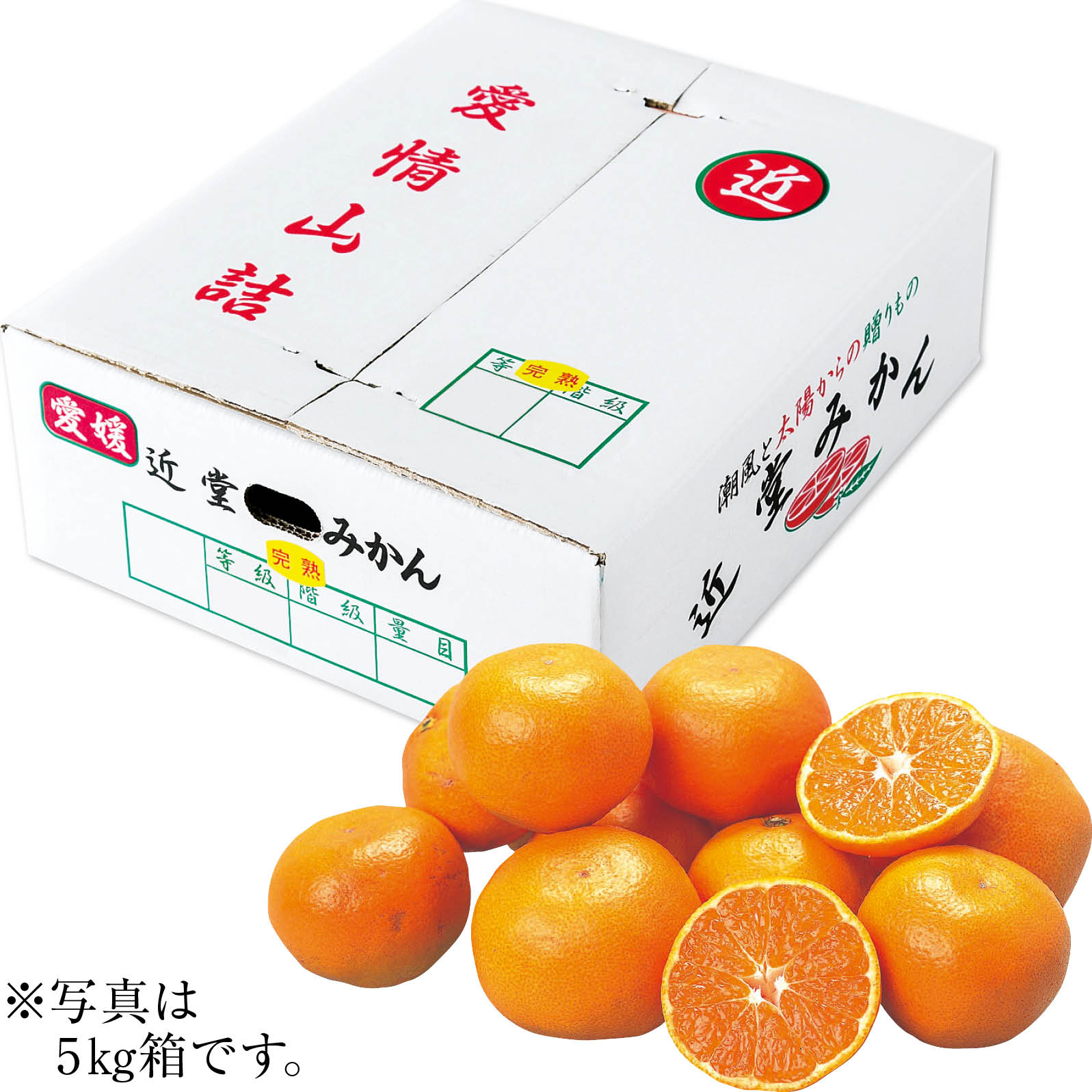 【ネット決済】愛媛県八幡浜市産（近堂農園） 近堂みかん S・3kg