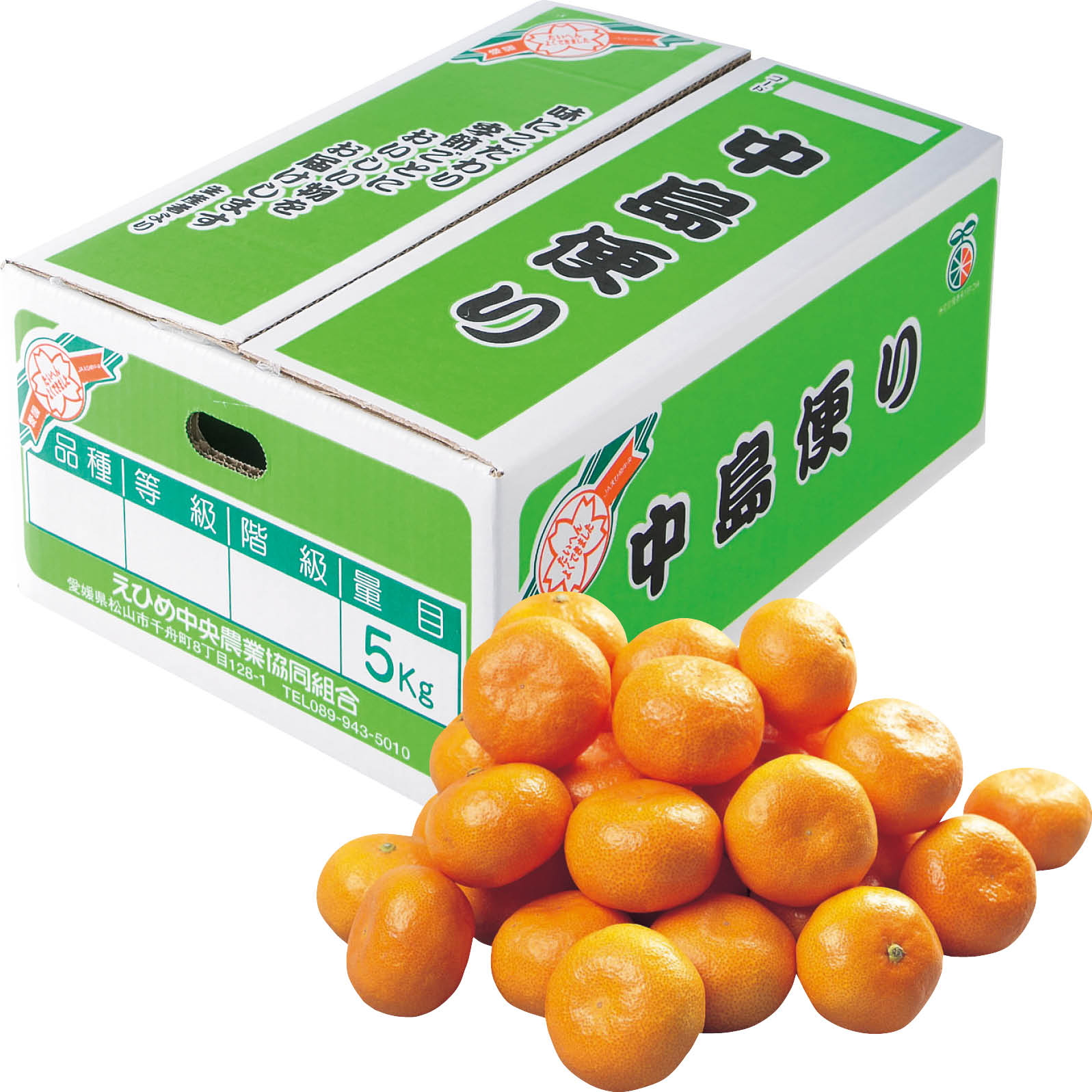 【ネット決済】愛媛県産(JAえひめ中央中島共選) 中島みかん(中島便り) S~L・5kg