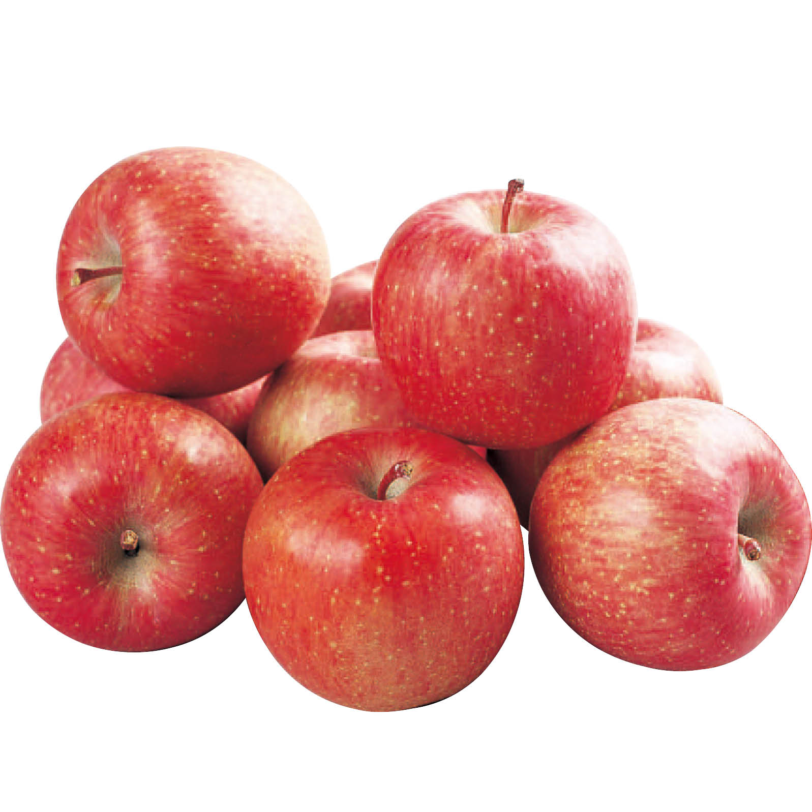 【ネット決済】岩手県産(JAいわて中央) サンふじりんご(じゅくまる) 5kg